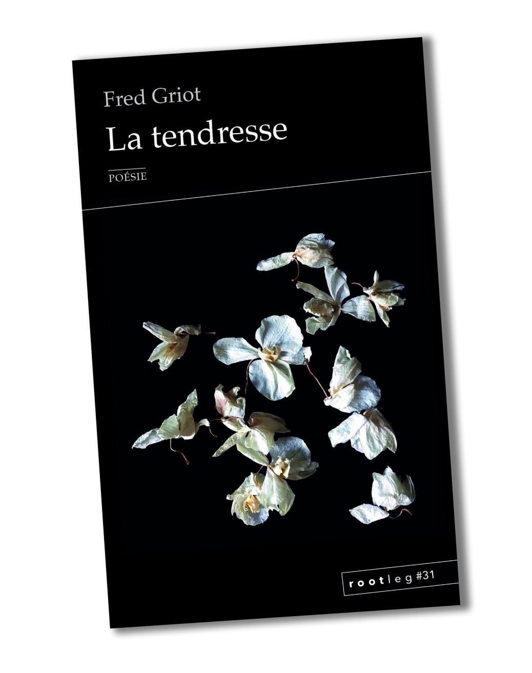 ateliers écriture
